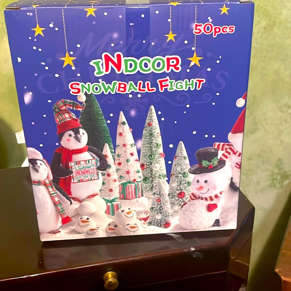 Indoor Snowball Fight